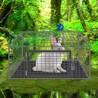 Free online html5 games - White Rabbit Escape game - WowEscape 