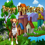 Boxer Dog Escape