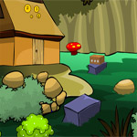 Colorful Forest Escape