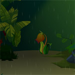 Dog Rescue From Rain escape