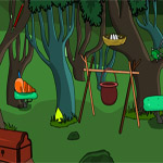 Free online html5 games - Evergreen Forest Escape game 
