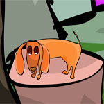 Forest Bi Houses Escape