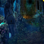 Forest Escape