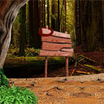 Forest Ville Escape