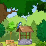 Garden Escape