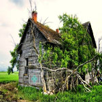 Free online flash games - Shrubland Escape game - WowEscape 