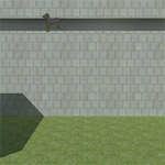 Walking Dog Escape
