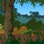 Wine Forest Escape
