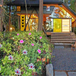 Cute Pink Birds Escape