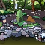 Forest Mountain Escape