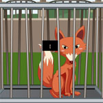 Zoo Escape-2