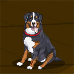 Thanksgiving Pets Escape