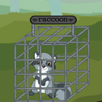 Raccoon Escape NSRGames