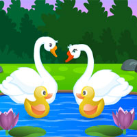 Free online html5 games - G4K Swan Couple Rescue  game 