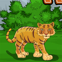 Games2Jolly Escape The Forest Tiger