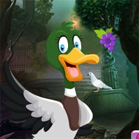 Games4King Domestic Duck Escape