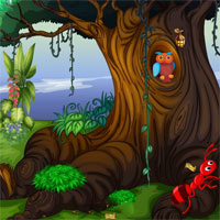 Free online html5 games - Old Forest Treasures game - WowEscape 