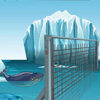 Blue Whale Rescue Games4Escape