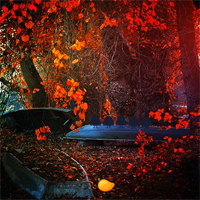 Mirchi Games  Red Autumn Forest