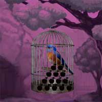 Western Bluebird Escape 8bGames