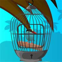 Cuckoo Bird Rescue GamesClicker