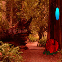 Free online html5 games - Redwood Forest Escape game - WowEscape 
