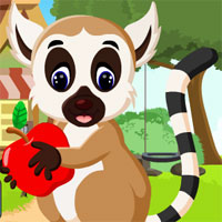 G4K Cute Lemur Rescue