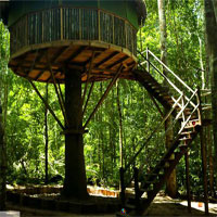 Mushroom Tree House Forest Escape