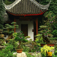 Lovely Bonsai Garden Escape