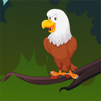Toucan Tree Cage Escape