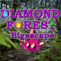Diamond Forest Bigescape