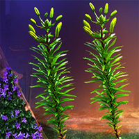 Free online html5 games - G4K Three Puzzle Plants Escape  game 