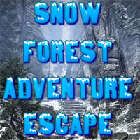 Snow Forest Adventure Escape