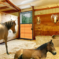Locked Horse Farm Escape