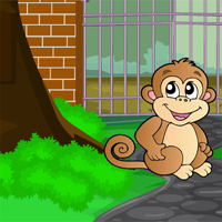 Avm Bubble Monkey Escape