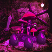 Midnight Purple Forest Secrets