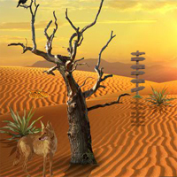 5NGames Can You Escape The Desert