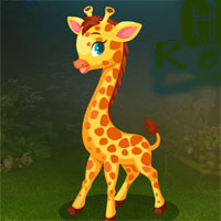 G4K Giraffe Rescue