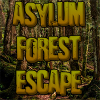 G2R Asylum Forest Escape