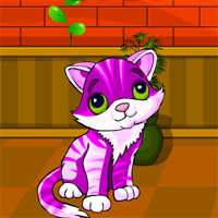 Avm Cat Rescue 2