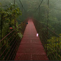 Escape From Monteverde Cloud Forest Reserve