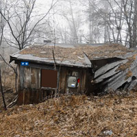 Free online html5 games - Abandoned Forest Escape game - WowEscape