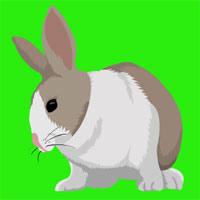 Free online html5 games - Chick Easter Escape game - WowEscape