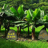 Free online html5 games - Escape From Banana Garden game 