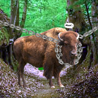 Free online html5 games - Escape Game Save The Country Bull game 