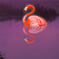 Free online html5 games - Escape The Pink Flamingo Bird game 