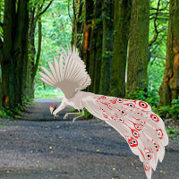 Free online html5 games - Escape White Peacock game - WowEscape