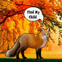 Free online html5 games - Find The Fox Child game - WowEscape