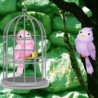 Free online html5 games - Find the Twin Birds game 