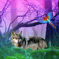 Free online html5 games - Gray Wolf Forest Escape game 